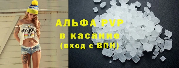 трава Белокуриха