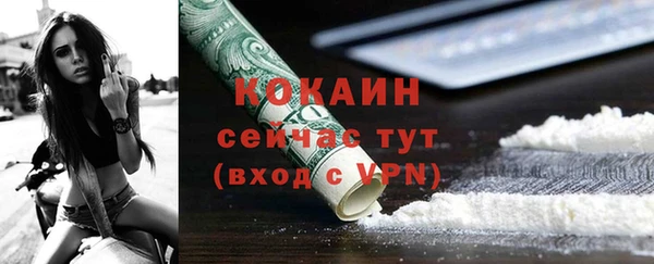 трава Белокуриха