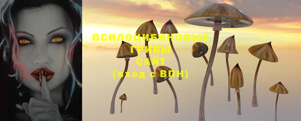 трава Белокуриха