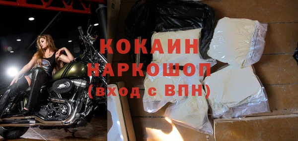 трава Белокуриха