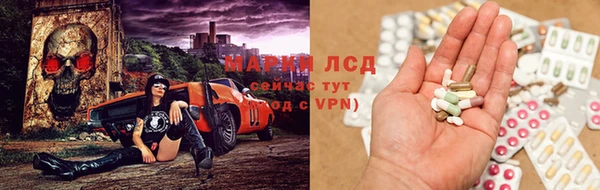 трава Белокуриха