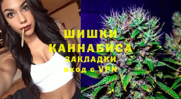индика Сафоново