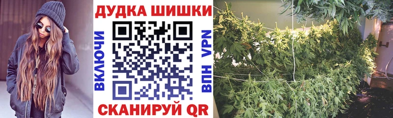 Бошки марихуана THC 21%  Куровское 